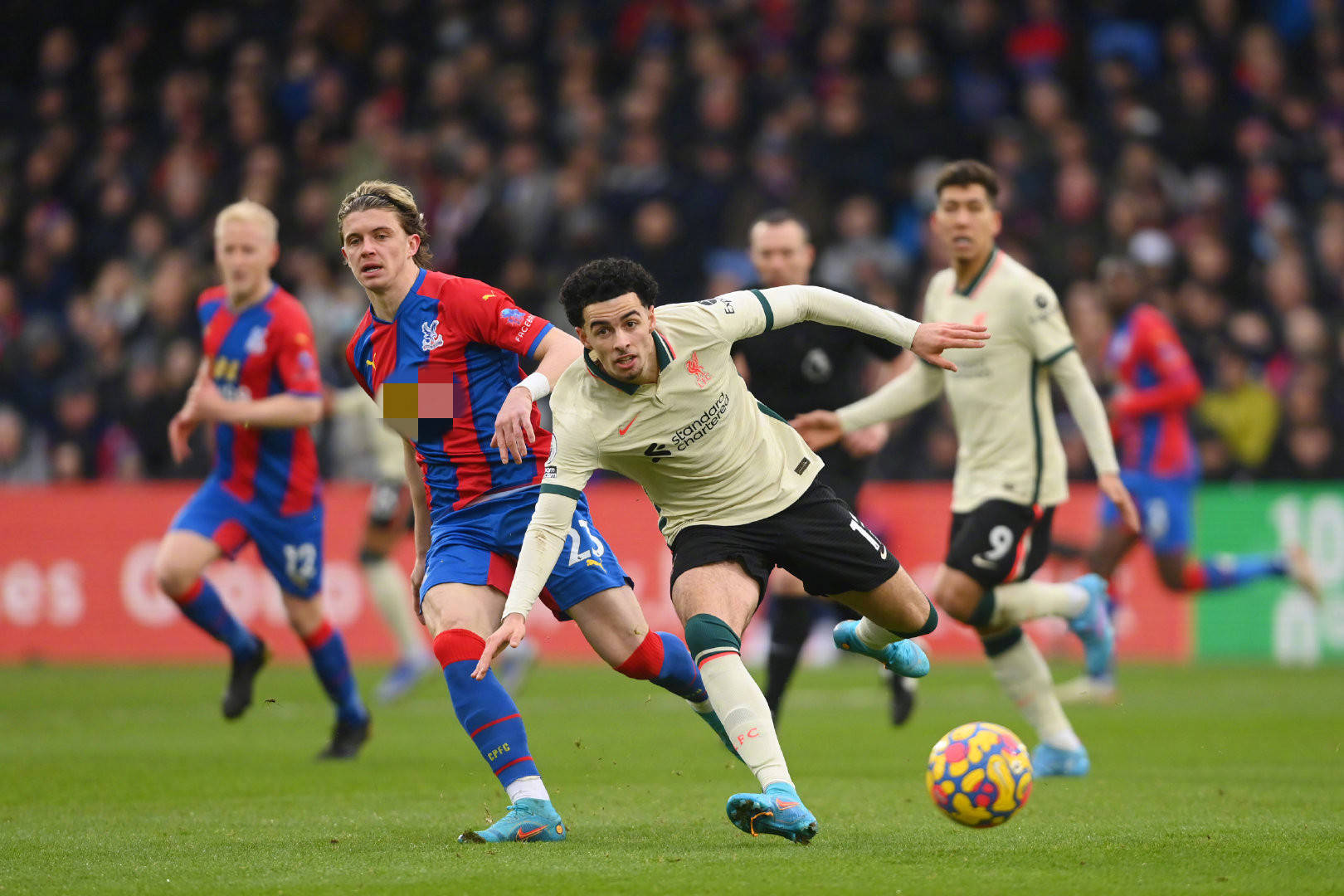 展将备受关 展将备受关